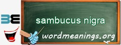 WordMeaning blackboard for sambucus nigra